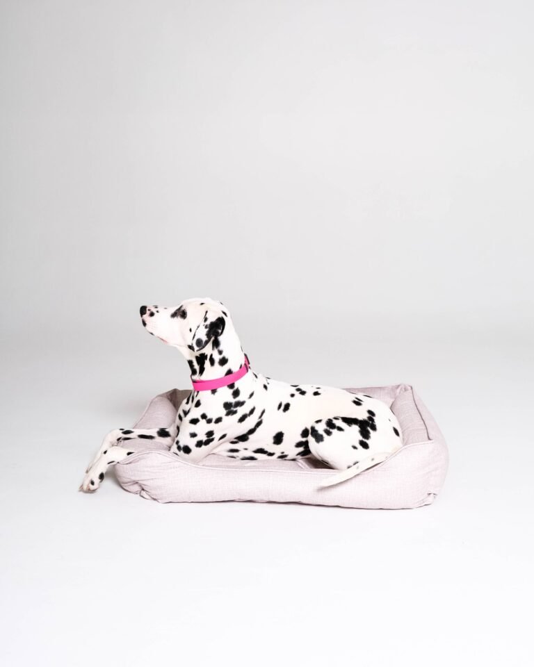 Pet bed Refresh