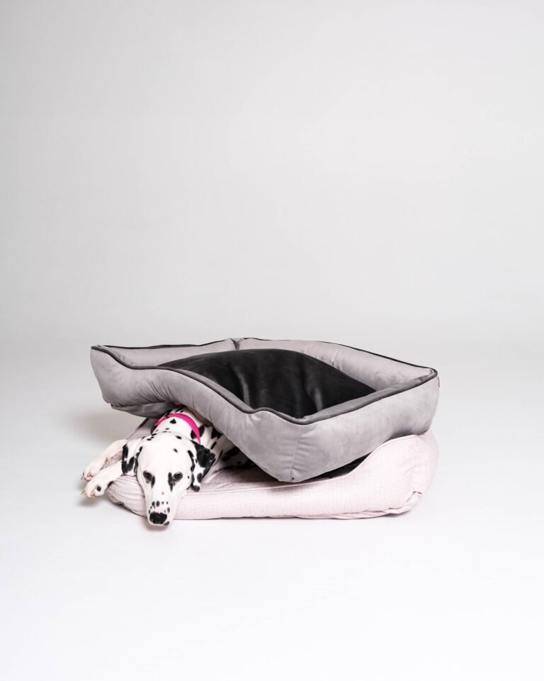 Pet bed Refresh