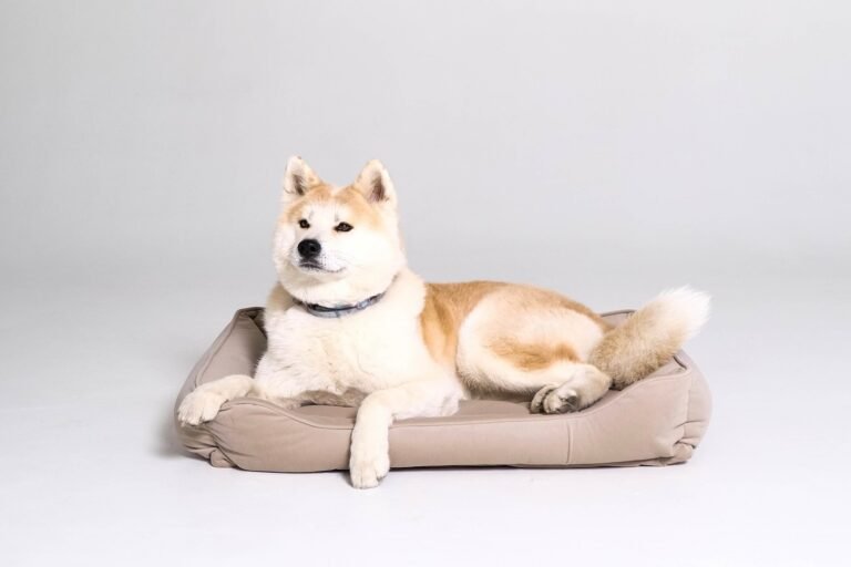 Pet bed Plush