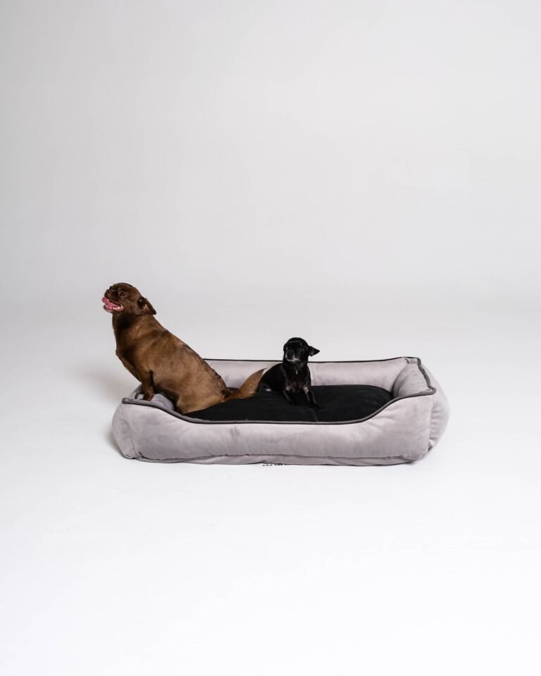 Pet bed Plush