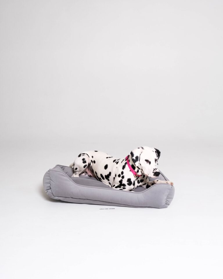 Pet bed Plush