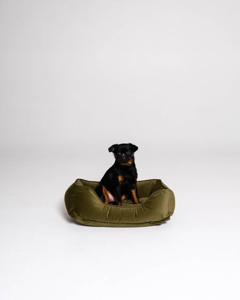 Pet bed Plush